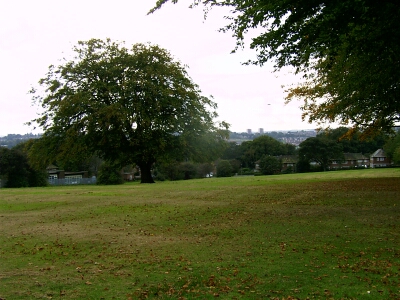 Beckett Park