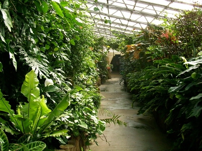 Tropical World